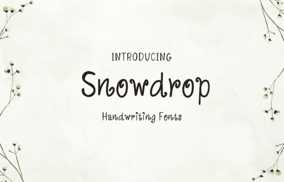 Choosing Snowdrop Font for a Cohesive and Friendly Web Brand