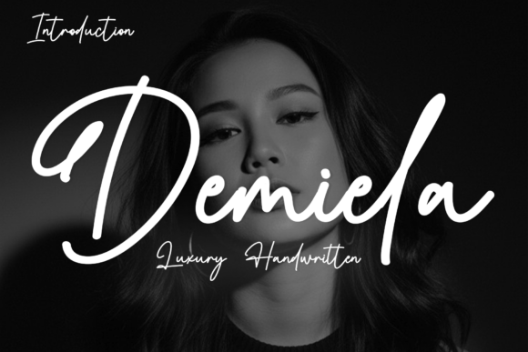 Elevate Your Handmade Creations with Demiela Font