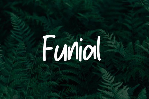 Transform Your Brand with Funial: A Versatile and Elegant Font